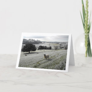 Cartão De Festividades Ovelhas num vale gelado