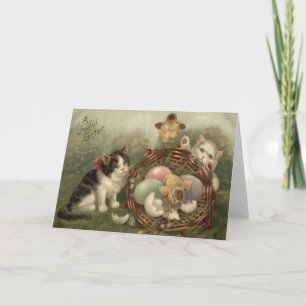 Cartão De Festividades Ovo de Páscoa Pintado Colorido Gatinho Frango