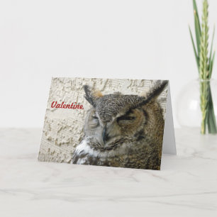 Cartão De Festividades Owl Valentine Card