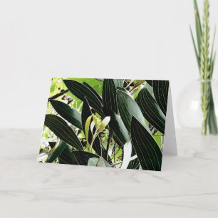 Cartão De Festividades padrão folha