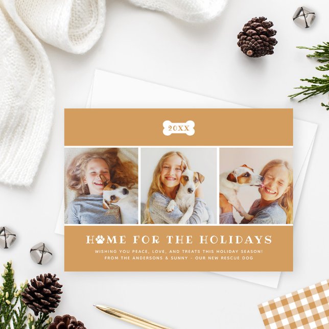 Cartão De Festividades Página inicial para fotos de cães Xadrezes de fest (Criador carregado)