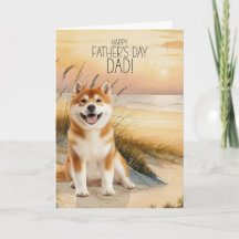 Pai de cachorro Akita no pôr do sol na praia no Di