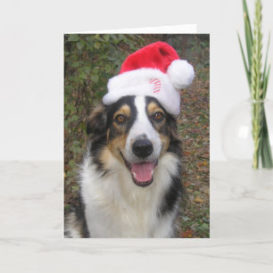 Cartão De Festividades "Paige jogando Papais noeis!"