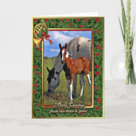 Cartão De Festividades Paint Horse Mare And Foal Blank Christmas Card