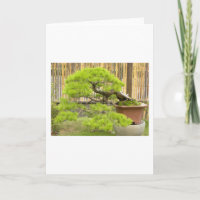 Paisagem de Bonsai/Chinês Potente