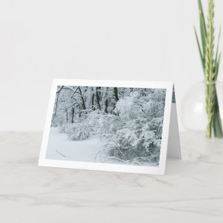 Cartão De Festividades Paisagem de Inverno - Folhagem coberta de neve