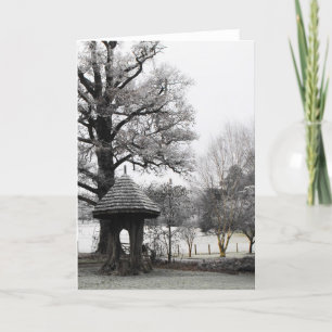Cartão De Festividades Paisagem numa manhã de inverno gelada