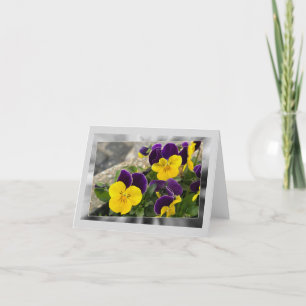 Cartão De Festividades Pancas amarelas violetas