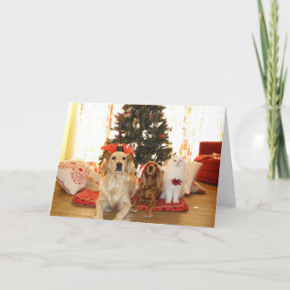 Cartão De Festividades Papai Noel & Animais de Estimação