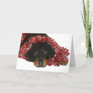 Cartão De Festividades Papai noel de espera