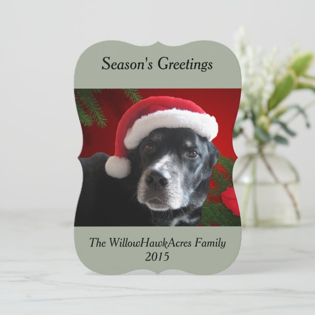 Cartão De Festividades Papai noel Dog-Lab/Rottweiler com fundo do feriado (Em pé/Frente)