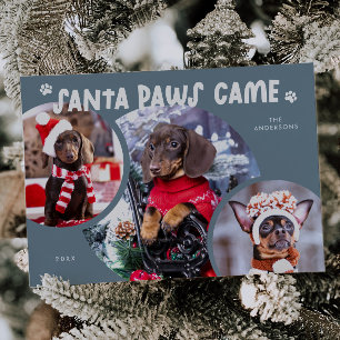 Cartão De Festividades Papai noel Paws Slate Blue Dog Photo Holiday Card