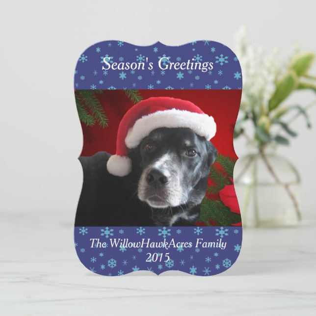 Cartão De Festividades Papais noeis Cachorro-Lab/Combinação Rotação com F (Em pé/Frente)