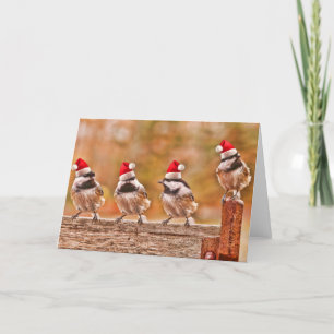 Cartão De Festividades Papais noeis Chickadees