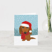 Papais noeis de Dachshund de Cabelo Longo Natal
