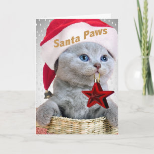 Cartão De Festividades Papais noeis de Kitten de Shorthair