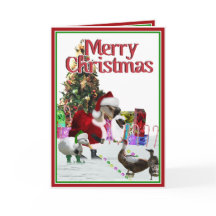 Papais noeis De Natal Ganso E Patos