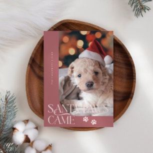 Cartão De Festividades Papais noeis De Patas Vieram Foto De Cachorro Rosa