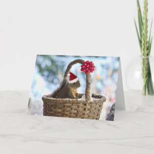 Cartão De Festividades Papais noeis esquilo na neve