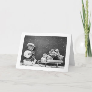 Cartão De Festividades Papais noeis Imagem Estática de Gato (1914) Natal