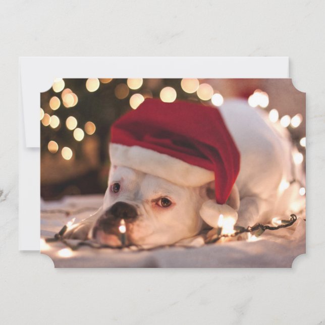 Cartão De Festividades Papais noeis in a box (Frente)