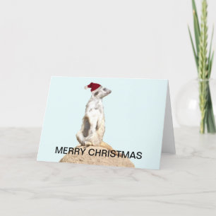 Cartão De Festividades Papais noeis Meerkat