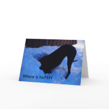 Papais noeis - Onde ele está??