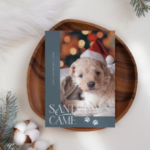 Cartão De Festividades Papais noeis - Paws Veio Cachorro Foto Slate Blue 