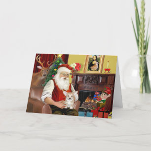 Cartão De Festividades Papais noeis Welsh Corgi Puppy (Pcooperação)