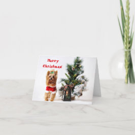 Cartão De Festividades Papais noeis Yorkie com árvore de Natal
