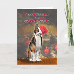 Cartão De Festividades Para avós, um gato engraçado num chapéu de Nata
