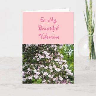 Cartão De Festividades Para Meu Belo Valentim