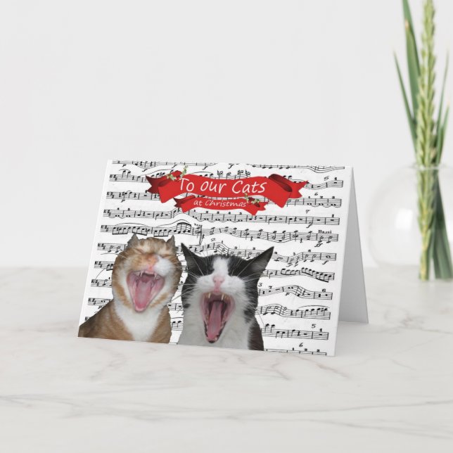 Cartão De Festividades Para nossos gatos (Frente)