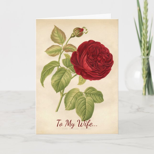 Cartão De Festividades Para o meu Namorados (Frente)