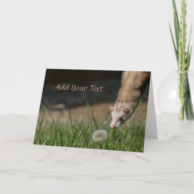 Cartão De Festividades Pare De Cheirar Os Furões Dandelions (Frente)