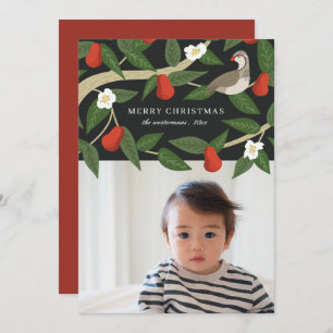 Cartão De Festividades Partucho bonito em uma árvore pera Foto Natal