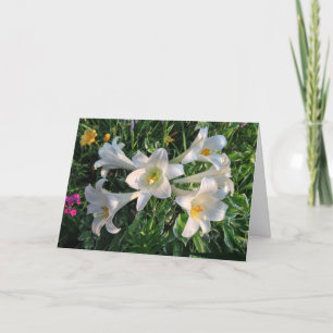 Cartão De Festividades Páscoa Beneficia Lily Flowers