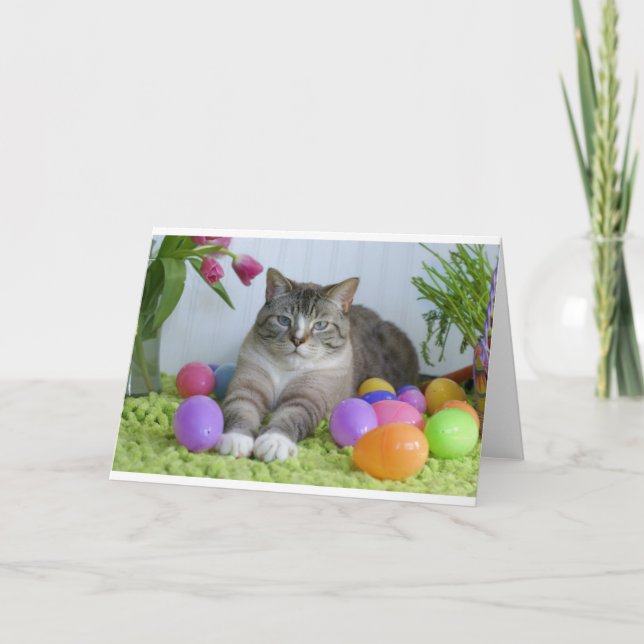 Cartão De Festividades Páscoa Cat (Frente)