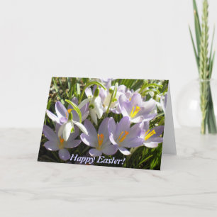 Cartão De Festividades Páscoa Crocus Greeting Card