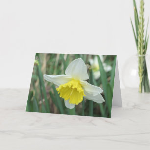 Cartão De Festividades Páscoa Daffodil