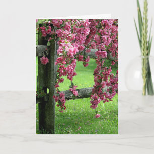 Cartão De Festividades Páscoa Dogwood