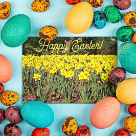 Cartão De Festividades Páscoa Floral Amarela Daffodil Garden