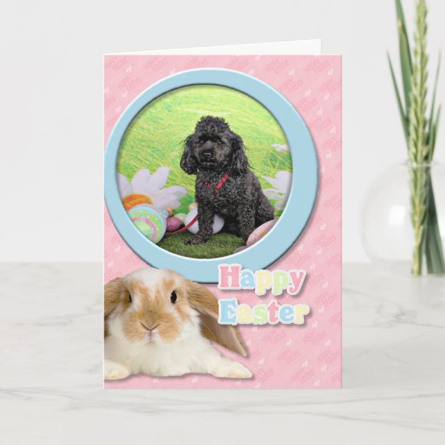 Cartão De Festividades Páscoa - Poodle - Junior (Frente)