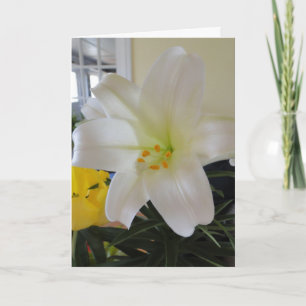 Cartão De Festividades Páscoa White Lily