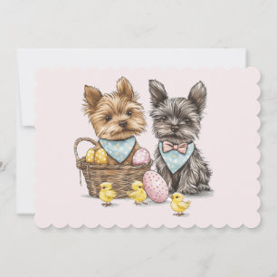 Cartão De Festividades Páscoa Yorkshire Terrier Dogs