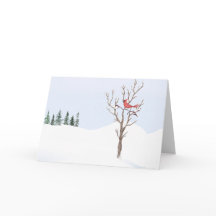 Pássaro Cardinal Vermelho Paz na Terra Família