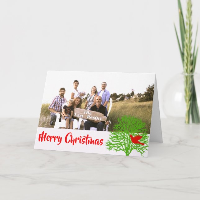 Cartão De Festividades Pássaro de Natal - (Frente)