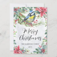 Pássaro em um Branch Poinsettia Feliz Natal