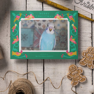 Cartão De Festividades Pássaros de Arte Popular, Foto de Saudação Persona