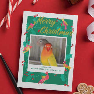 Cartão De Festividades Pássaros de Arte Popular, Natal com Foto Personali